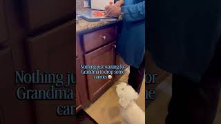 Nothing To See, Just Waiting For Grandma To Drop A Piece Or The Whole Carrot