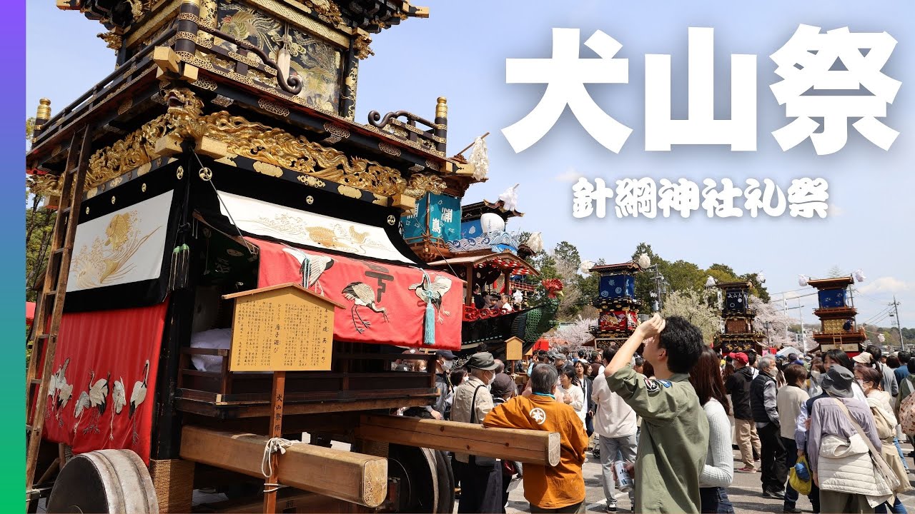 【犬山祭】第391回 試楽祭2025 （針綱神社礼祭）桜満開の犬山祭🌸国宝犬山城の城下町を13輌の山車が進みます✨