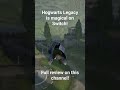 Hogwarts Legacy is magical on Switch! #nintendo #hogwartslegacy #harrypotter #switch