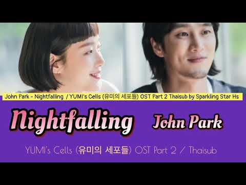 (Lyrics/ Thaisub) Nightfalling - John Park  / YUMI's Cells (유미의 세포들) OST Part 2 แปลไทย
