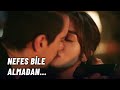 Ferhat Ve Aslı Nın Aşklarının Masalı Siyah Beyaz Aşk 17 Bölüm 