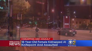 Sex Assault In Morgan Park