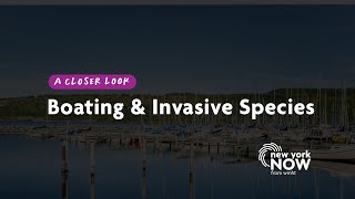 A Closer Look: Invasive Species | New York NOW screenshot 5
