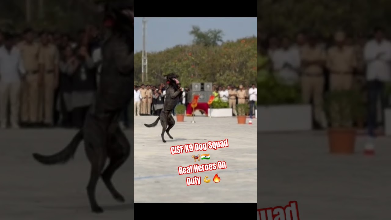 CISF K9 Dog Squad 🐕‍🦺 | India’s Brave Security Dogs 🇮🇳 