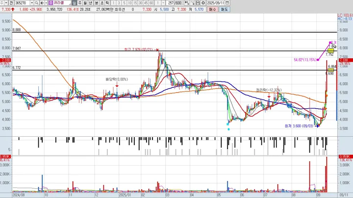 큐라클 365270 패턴분석 및 투자전략