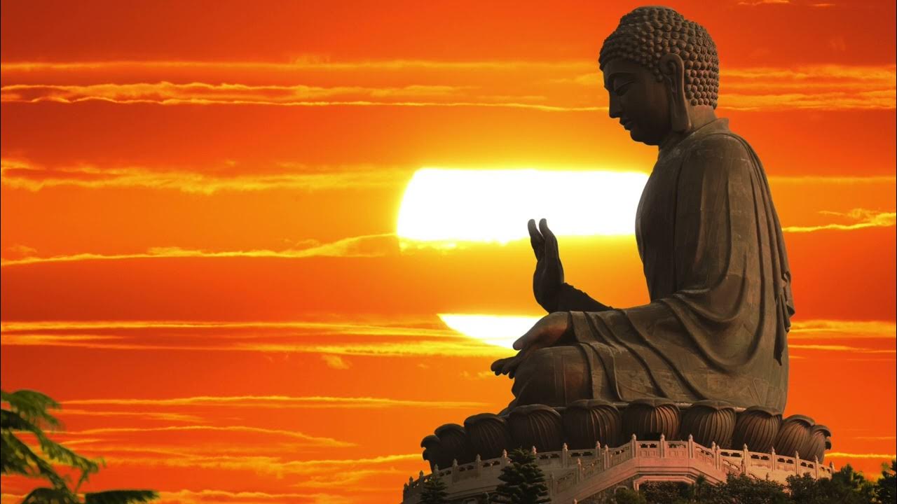 Тест будды. Будда Шакьямуни Индия. Будда на острове Лантау. Статуя Будды в Индии. Картинки для карты желаний мудрость.