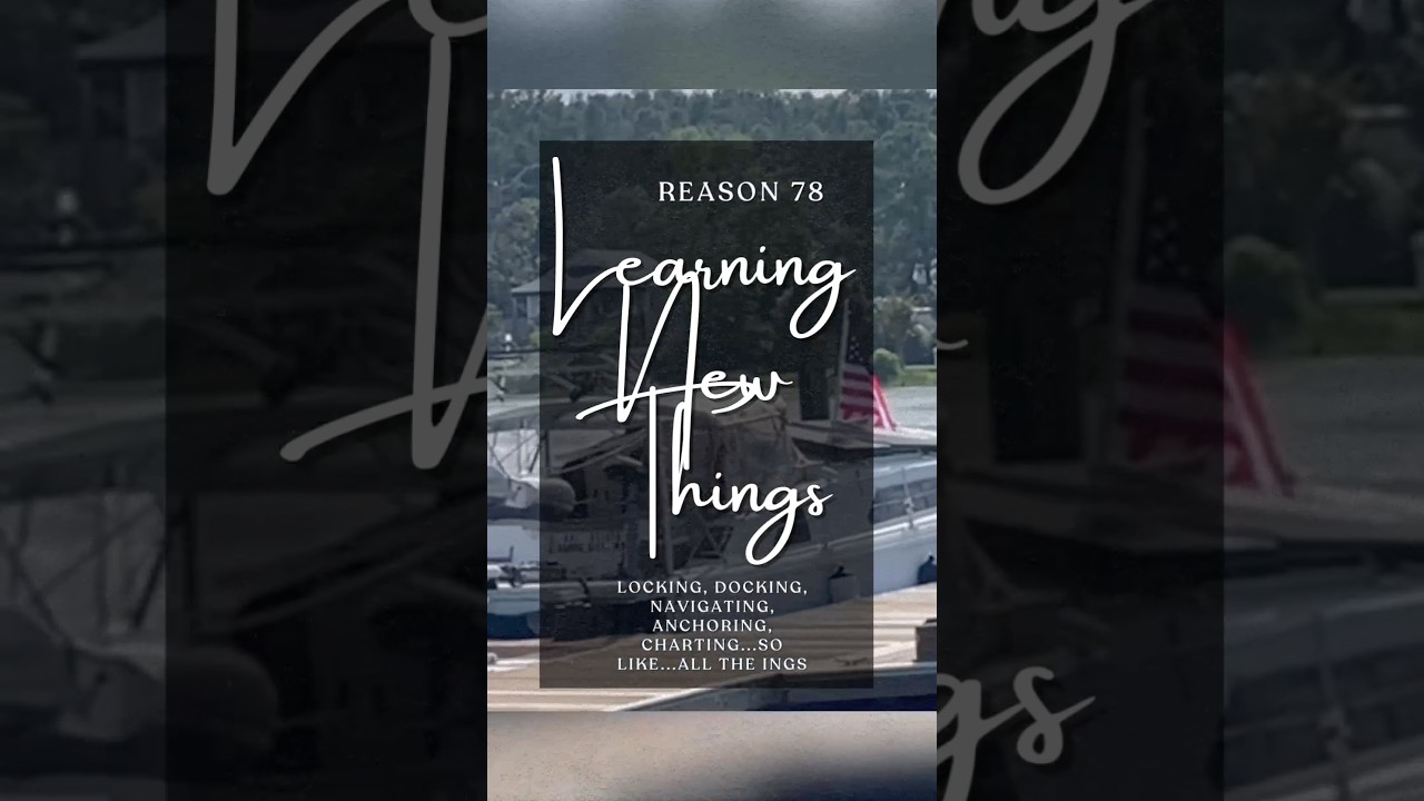 Reason 78 Learning New Things