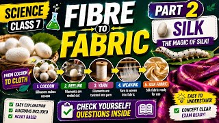 Fibre to Fabric Part 2: Silk | Class 7 Science | NCERT Explained