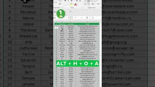 3 Secret Excel Tricks You Need to Know | Excel Tips & Shortcuts for Beginners