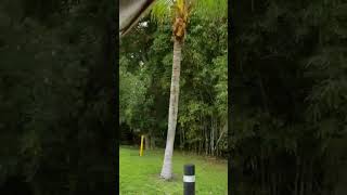 Mexico Hello Everyone Near And Far