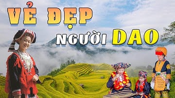 Khám Phá Nguồn Gốc, Cuộc Sống Và Nét Văn Hóa Đặc Sắc Của Dân Tộc Dao Tại Việt Nam