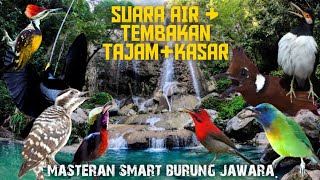 SUARA AIR dan TEMBAKAN TAJAM+KASAR!!!... Masteran ampuh bikin lawan shock.