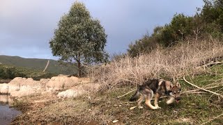 ¡JIEx está emitiendo en directo!