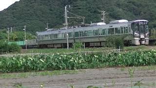 和歌山線227系SR14編成和歌山行き＠千旦駅