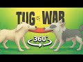 Tug of War 360° VR