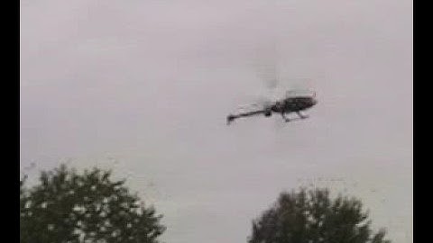 Mini Titan SE Backyard 3D