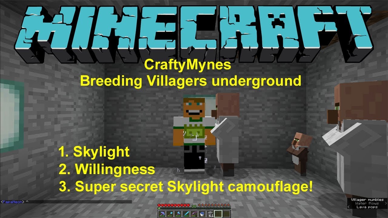 Φ Minecraft breeding Villagers under ground YouTube