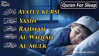 Relaxing Quran Recitation for Deep Sleep | Surah Fatiha, Ayatul Kursi, Rahman, Mulk, Yasin, Waqiah