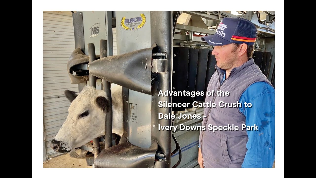 The advantages of the Silencer Cattle Crush to Dale Jones Ivery Downs