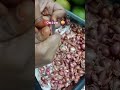 onion 🧅 pealing #clean #onion #pealing #subscribe #song #views #music