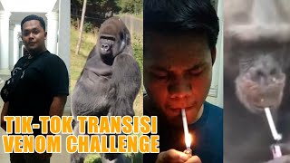 Tiktok transisi venom challenge indonesia || versi gorila