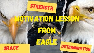 Eagle Wisdom: 7 Life Lessons from the Majestic Bird #inspirational #motivationalquotes