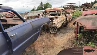 Walking threw my local classic junk yard