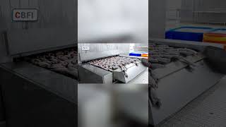 #shorts Stainless Steel Tunnel Freezer for Seafood Processing Industry IQF Flash Freezer Equipment.