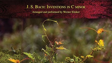J. S. Bach: Two and Three Part Inventions in C minor | Arranged and performed by Werner Elmker