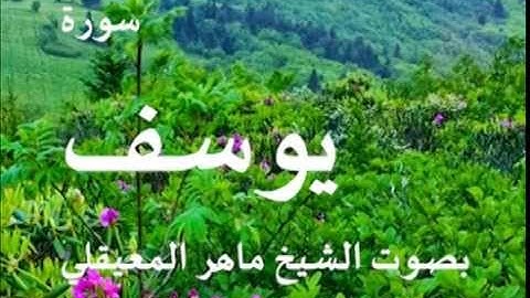 سورة يوسف بصوت الشيخ / ماهر المعيقلي 12