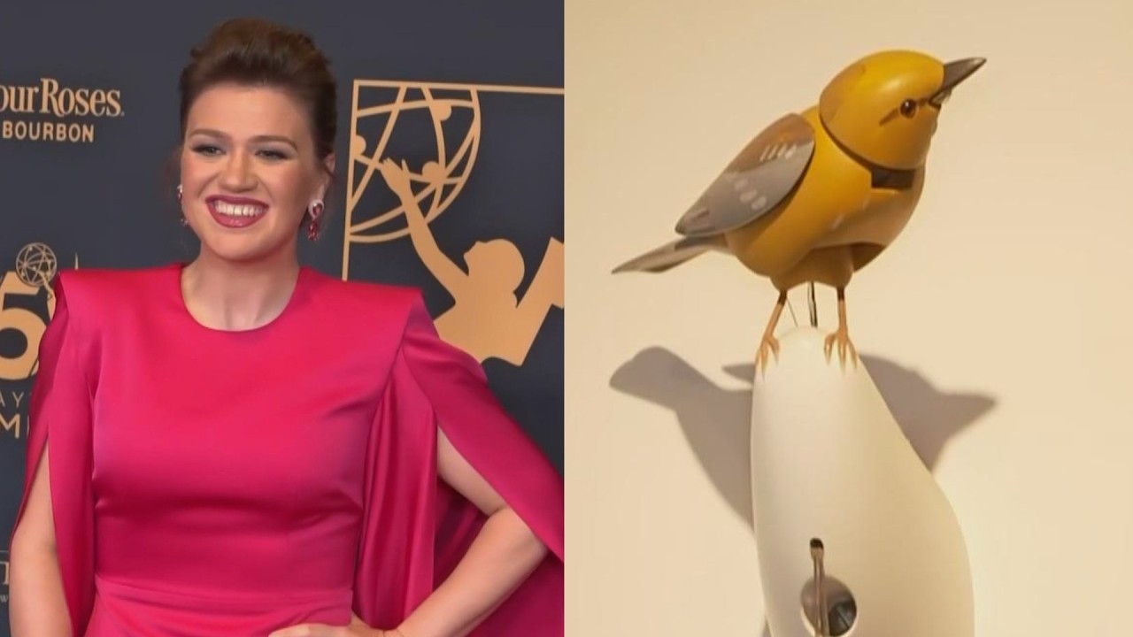 Brooklyn Boutique Owner Says Kelly Clarkson's Posts Put His Staff In Danger