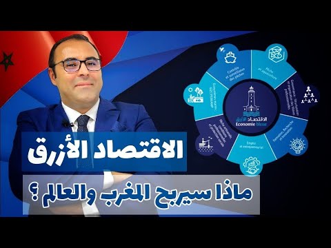 الاقتصاد الأزرق ماذا سيربح المغرب والعالم بدر الزاهر الأزرق