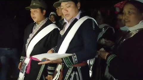 DTTY - Páo tôm đang dung