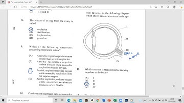 Integrated Science 2019 Paper 1 solution