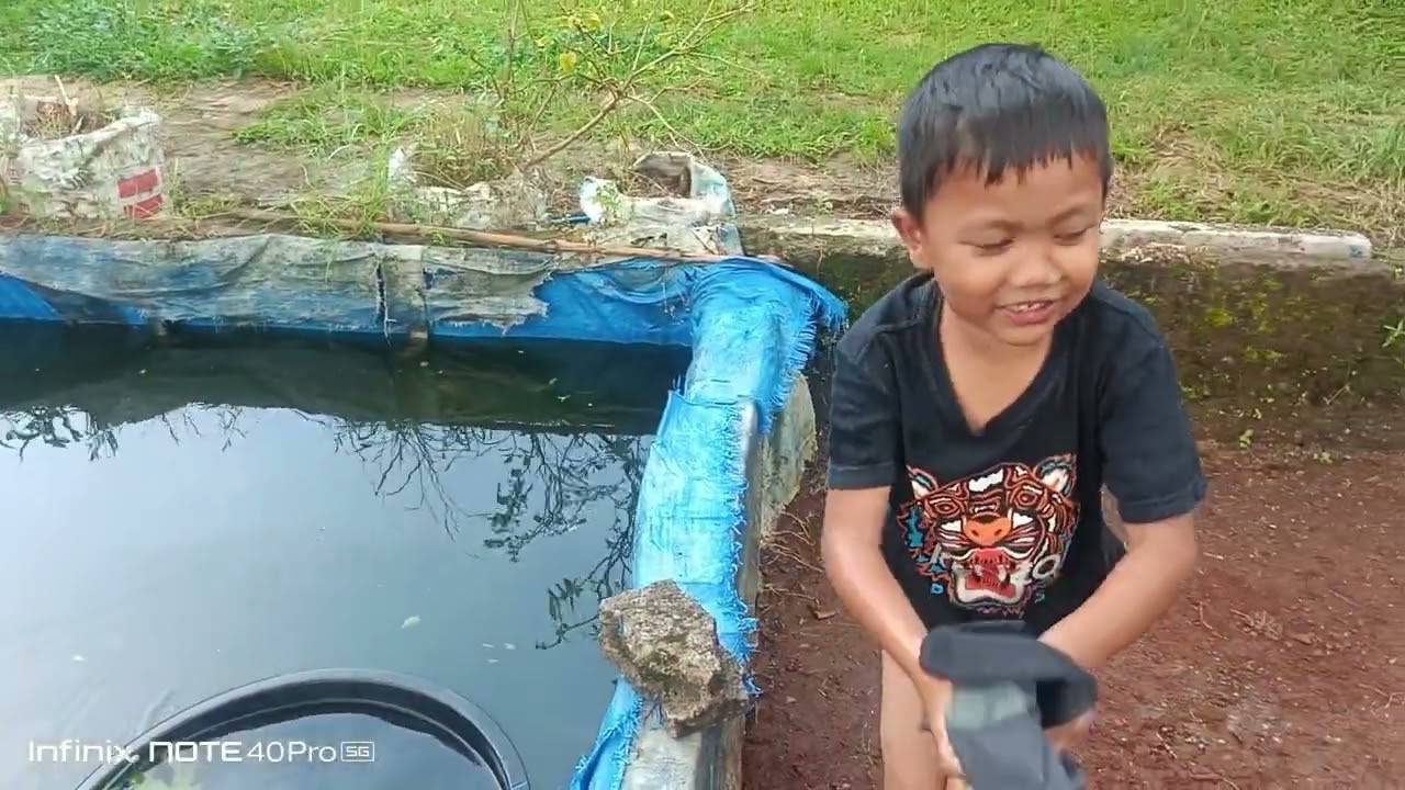 hampir nyebur dikolam gurame #hewanpeliharaan #ikan #anak #fyp #hewan #gurame 