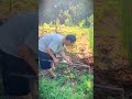 old farmers' favorite smart tool for weeding fields #shorts