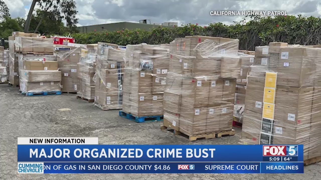 Major Organized Crime Bust YouTube