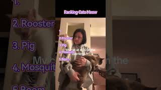 Ranking Cats Meow #cat #funny #cats #funnyvideo #fyp