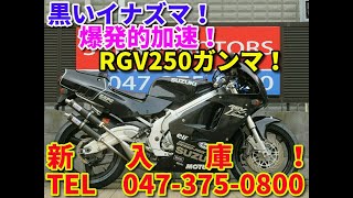 ■シイナモータース市川店　絶版館■スズキ　ＲＧＶ２５０ガンマ　１３１４２　タイガパフォーマンスチャンバー　ゼッケンプレートスリット　倒立フロントフォーク　ＶＪ２２Ａ