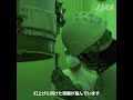 みちびき7号機×H3ロケット9号機、8月11日リフトオフ! #shorts