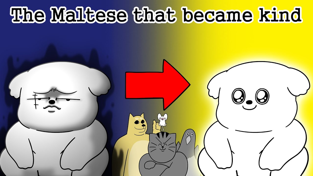[Beast Friends] There are no bad dogs in the world. - YouTube