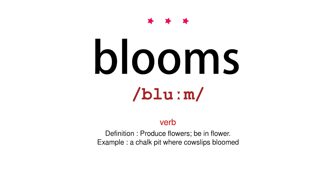 How to pronounce blooms Vocab Today YouTube