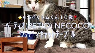 ✨ｳｯﾃﾞｨｷｬｯﾄﾃｰﾌﾞﾙ✨ﾍﾟﾃｨｵ(Petio)✨ necoco