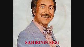 Taner Şener - Dinmiyor Hiç Bu Akşam Ne Gözyaşım Ne Acım Resimi