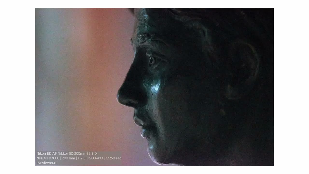 Nikon ED AF Nikkor 80-200mm f2.8 D тест объектива | молчаливый обзор