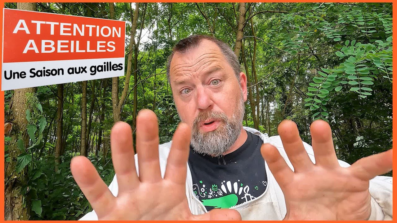 De l'agressivité des abeilles... {S06E23]