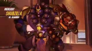 Rein Pins And Swings