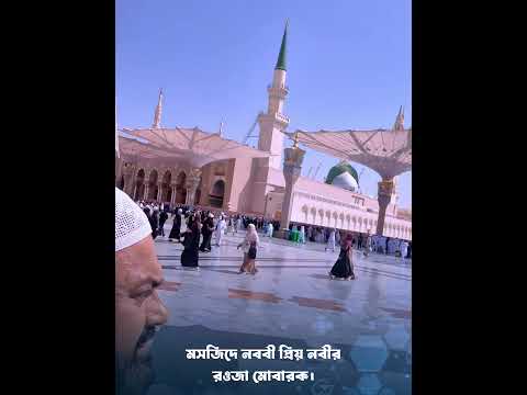মসজিদে নববী প্রিয় নবীর রওজা মোবারক।  #dr_joynal_abdin