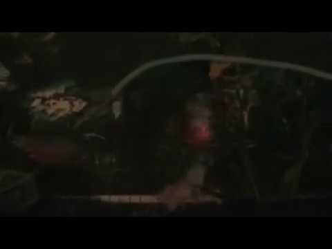 mice tonight!  watch 5 red belly piranha's go to work on a mouse