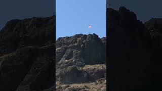 American Flag June 14, 2025 Net Worth